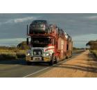 International car transport company