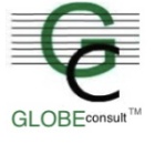 Globe Consult